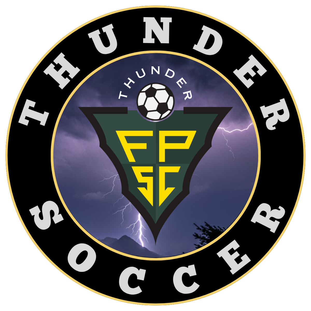 Thunder Icon